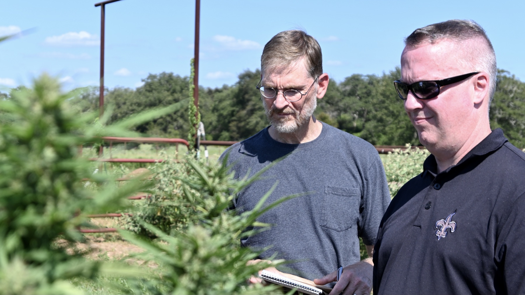 Field testing at a partner farm